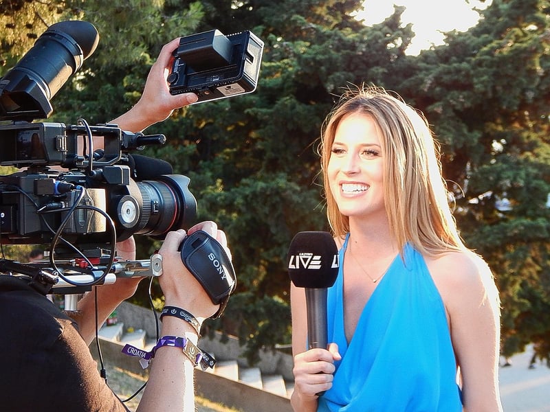 Interview Microphone